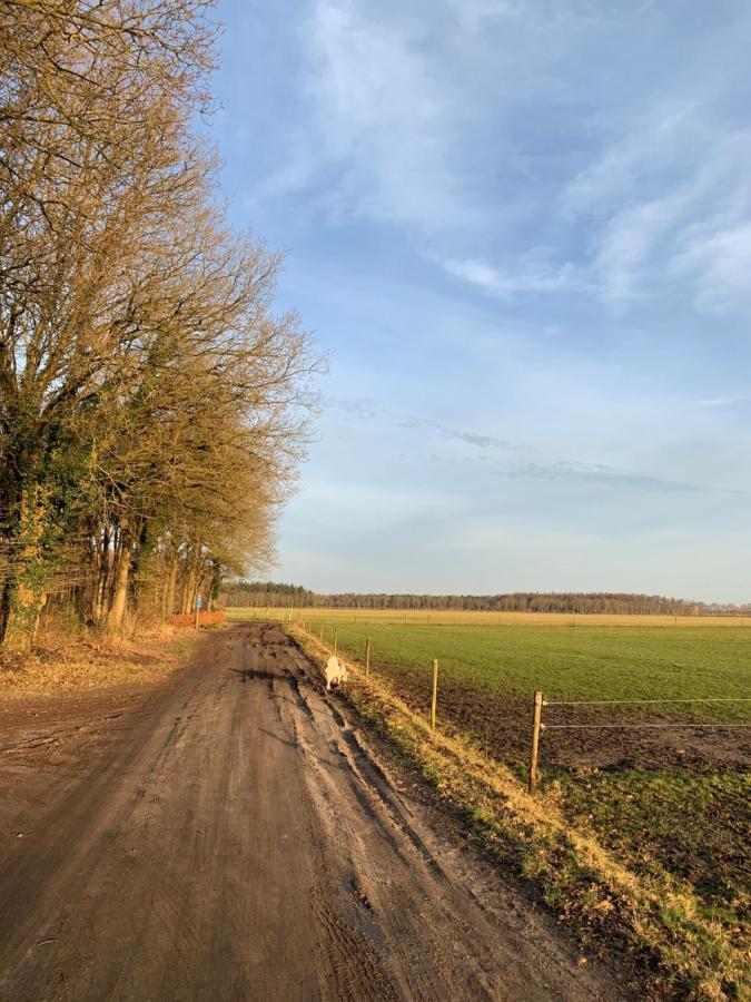 'T Holten Huus - Puur Genieten In Het Bos. Norg Dış mekan fotoğraf