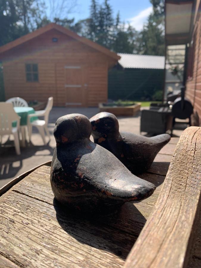 'T Holten Huus - Puur Genieten In Het Bos. Norg Dış mekan fotoğraf