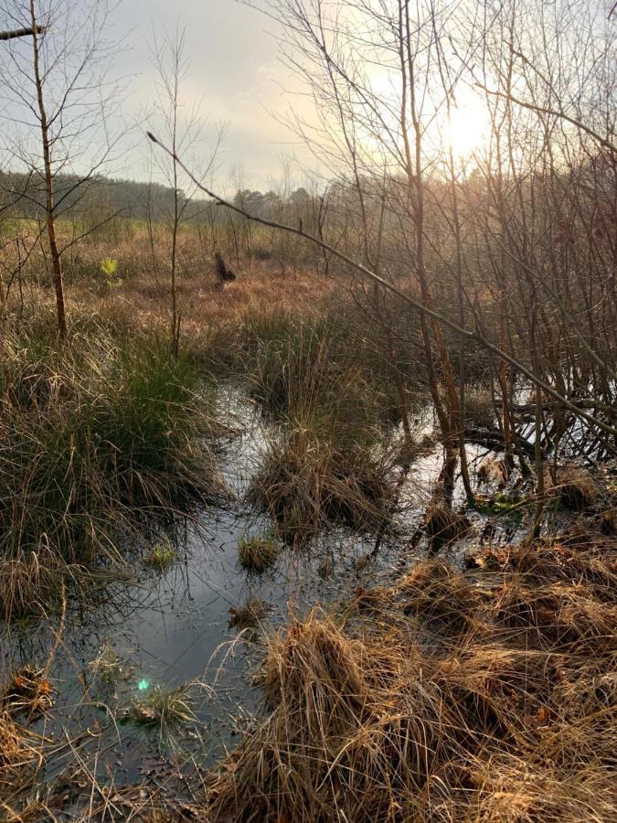 'T Holten Huus - Puur Genieten In Het Bos. Norg Dış mekan fotoğraf